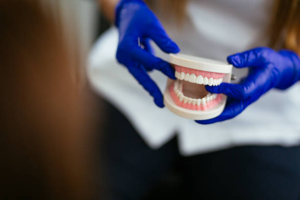 Reliable Spokane Valley, WA Holistic Dental Care Services Solutions